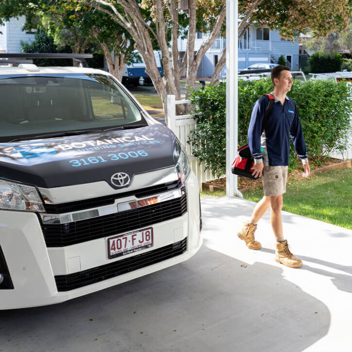 Botanical Plumber Arriving