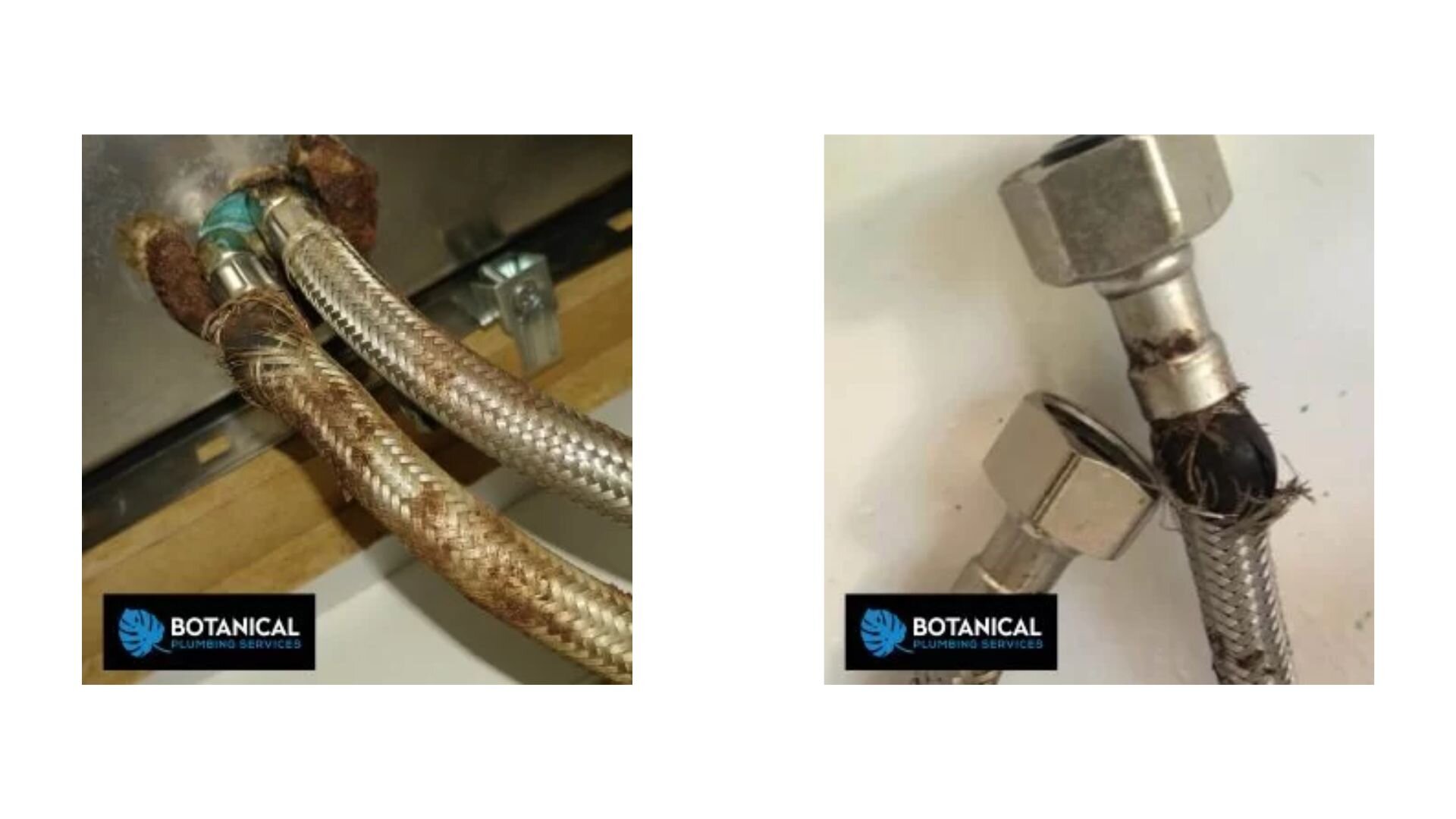 2023 03 Botanical Plumbing Flexi Hoses Botanical Plumbing Flexi Hoses