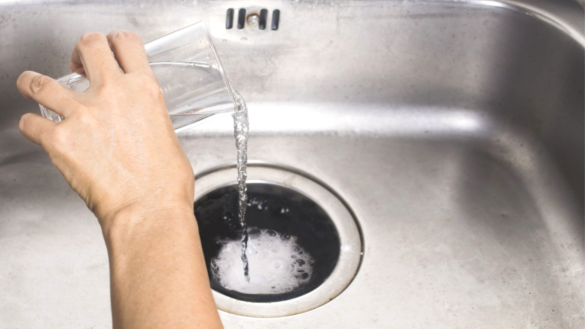 2023 03 Drain Fly Solution Diy Drain Fly Solution Diy