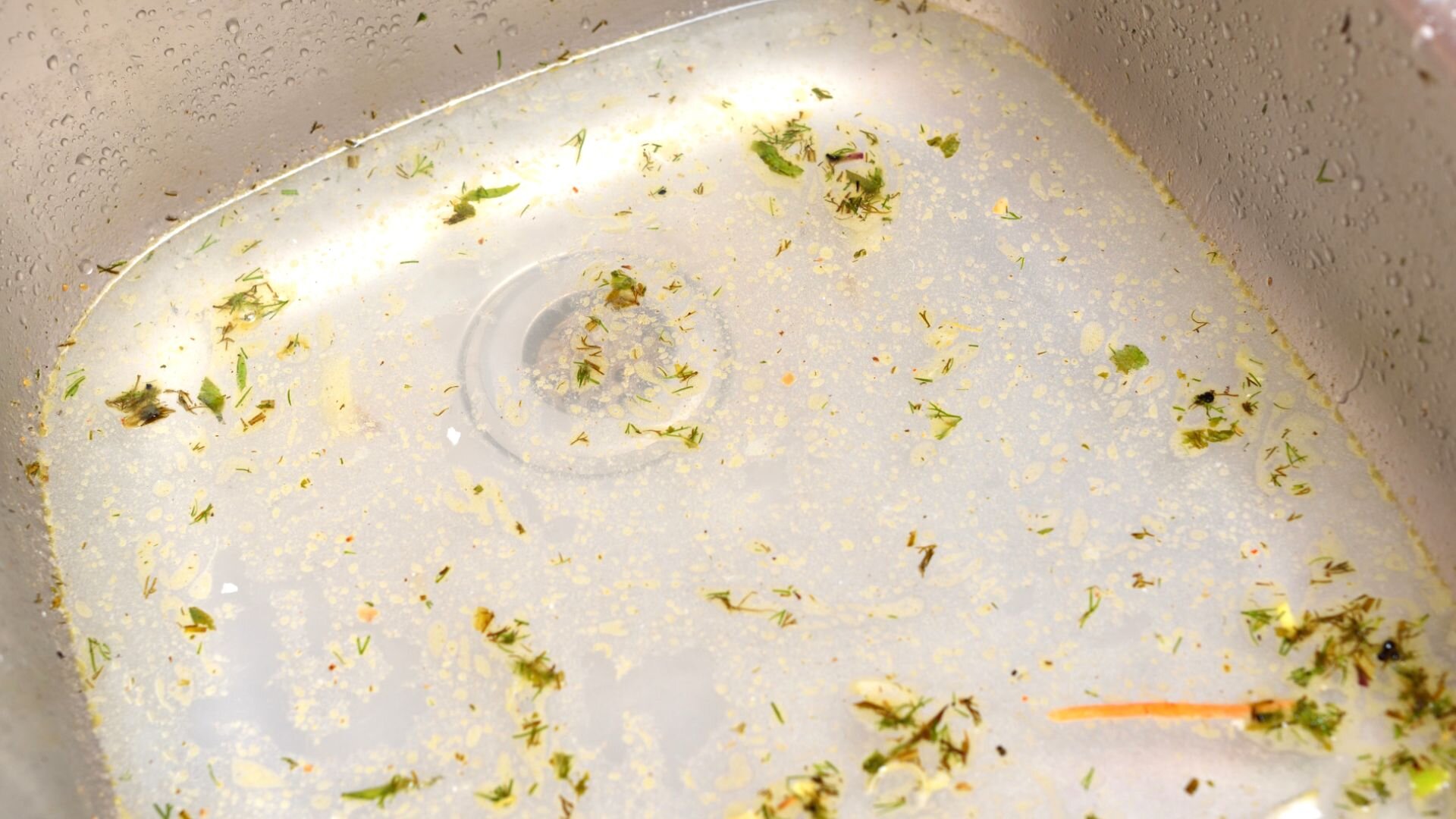 Food Scraps Clogging Kitchen Sink