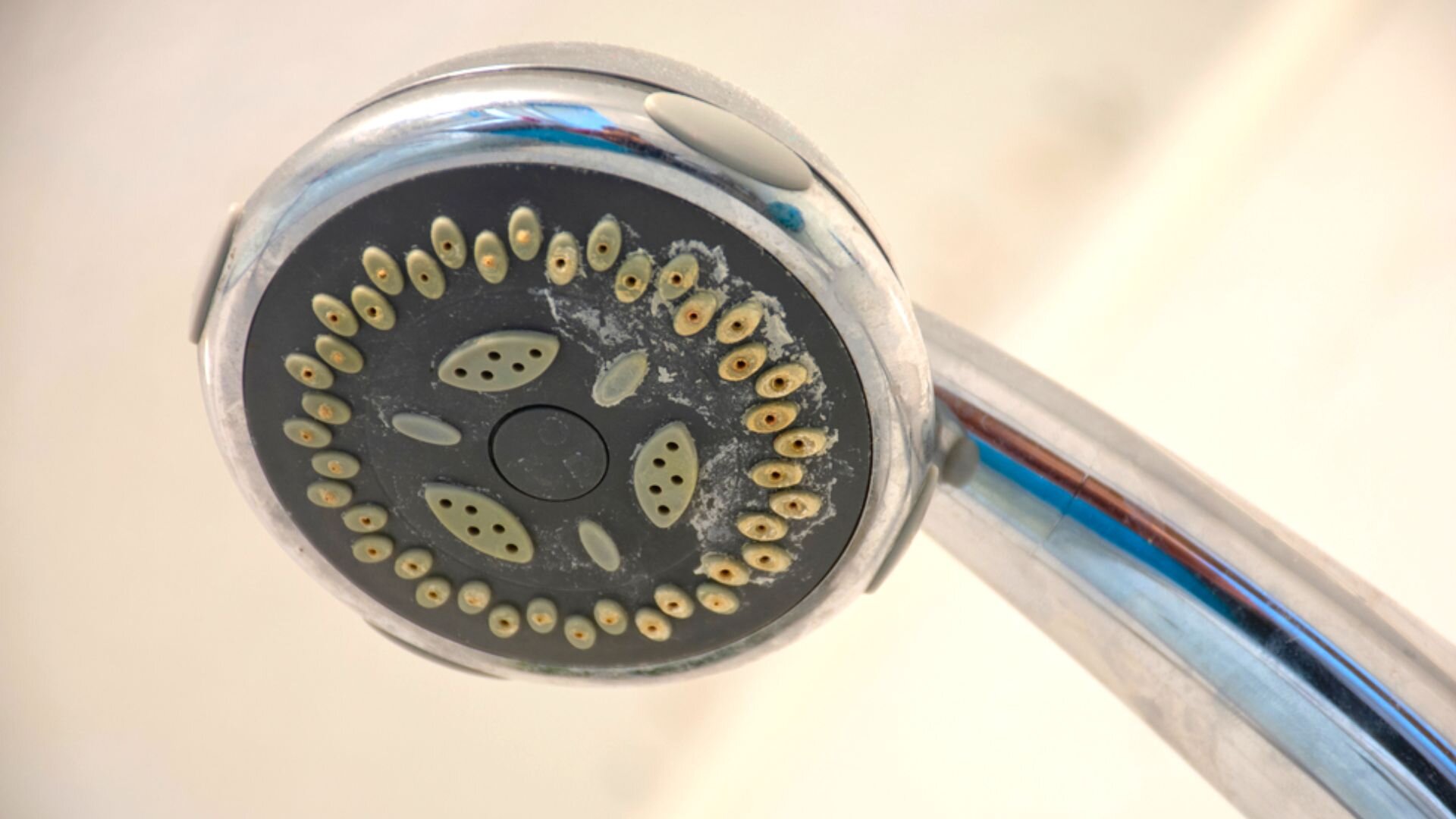 Lime Build Shower Head