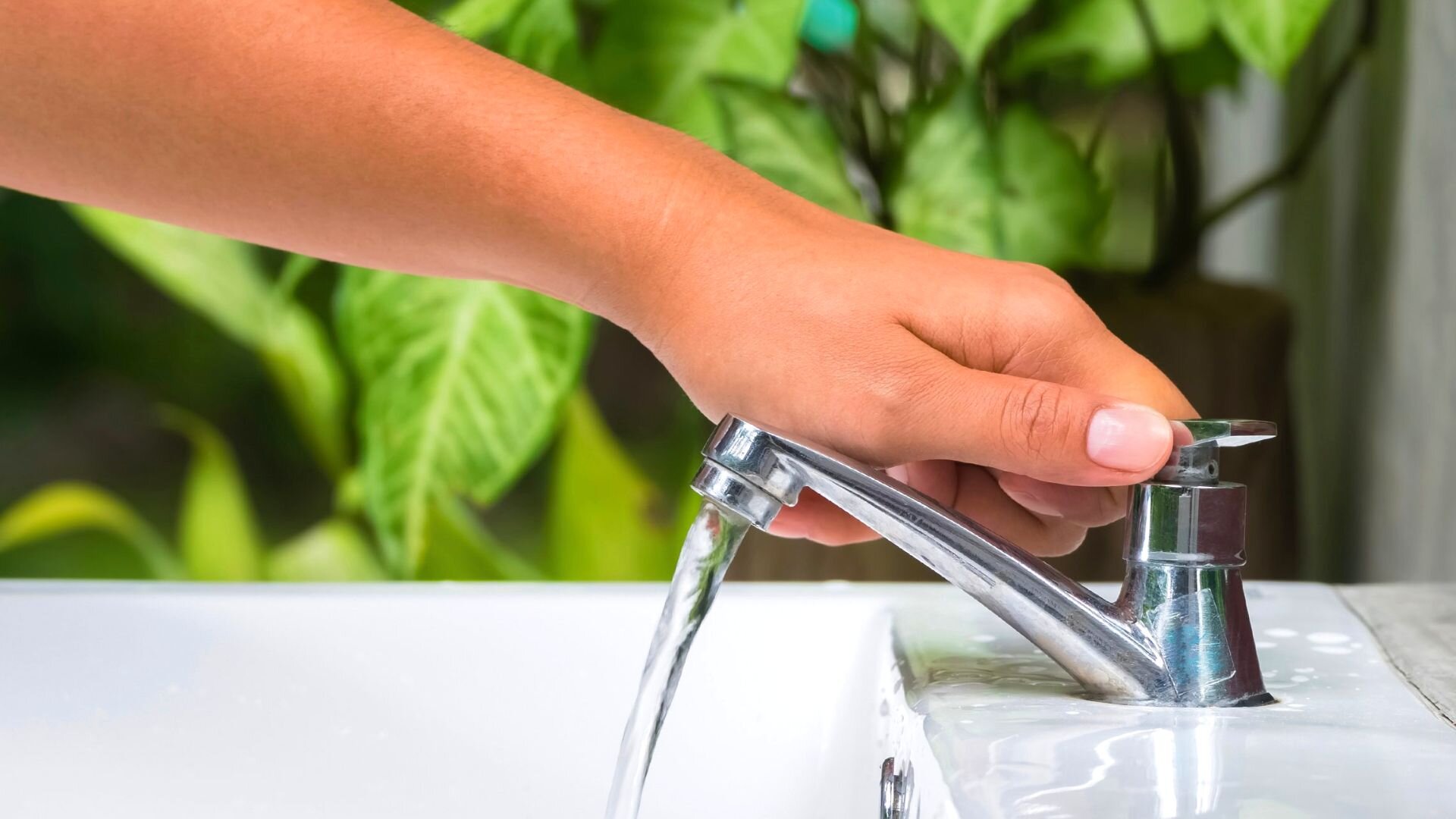 2023 03 Saving Water In Bathroom Saving Water Bathroom