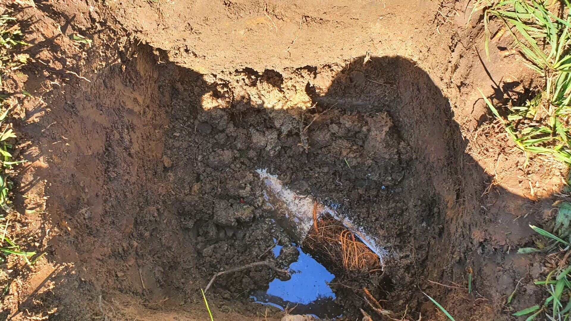 2023 03 Tree Roots In Underground Pipe Tree Roots Underground Pipe